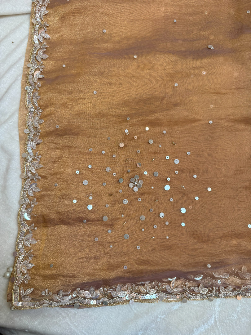 Bridesmaid saree